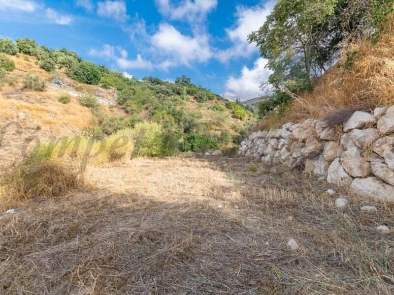 Stadthaus zu verkaufen Stadthaus zu verkaufen