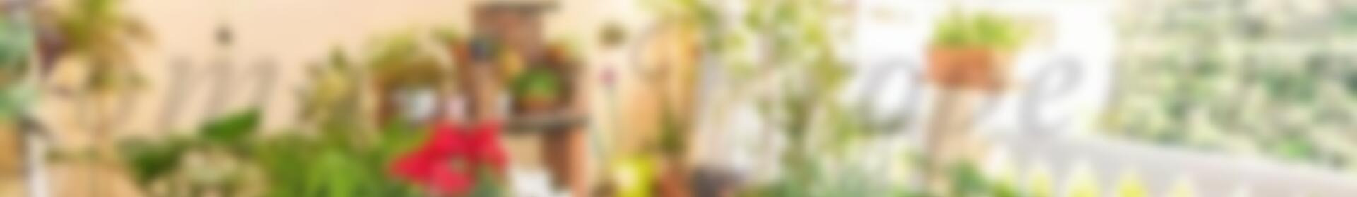 3 soverom Leilighet til salgs