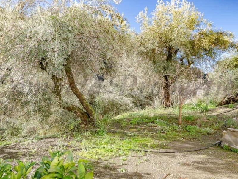 3 bedroom Townhouse for sale