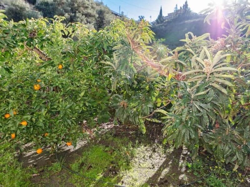 3 bedroom Townhouse for sale