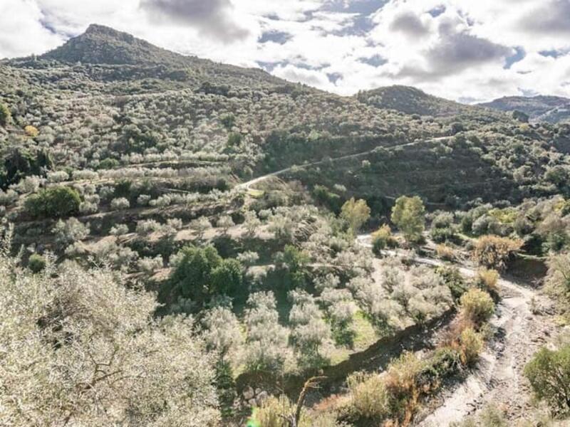 5 Schlafzimmer Villa zu verkaufen 5 Schlafzimmer Villa zu verkaufen