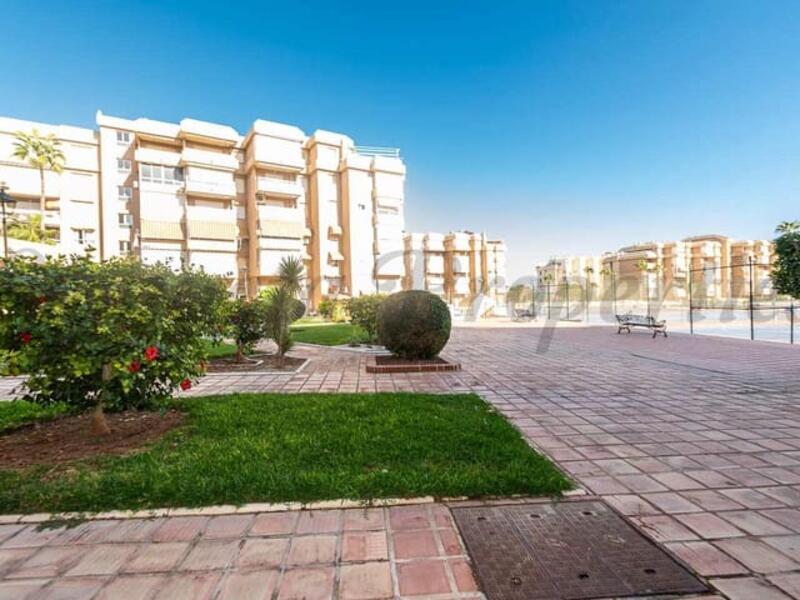 1 bedroom Apartment for Long Term Rent