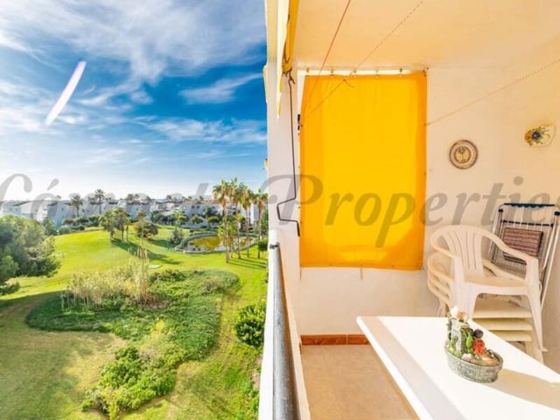 1 bedroom Apartment for Long Term Rent 1 bedroom Apartment for Long Term Rent