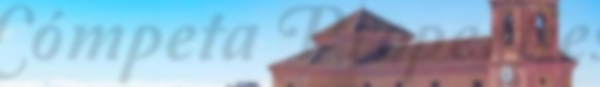 14 bedroom Townhouse for sale