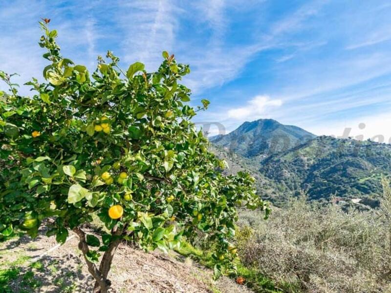 3 soverom Villa til salgs