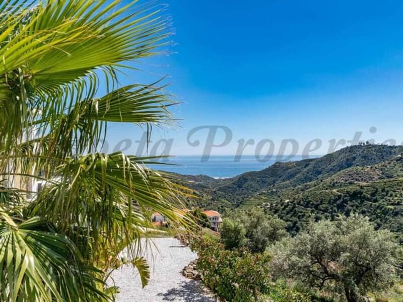 7 Schlafzimmer Villa zu verkaufen