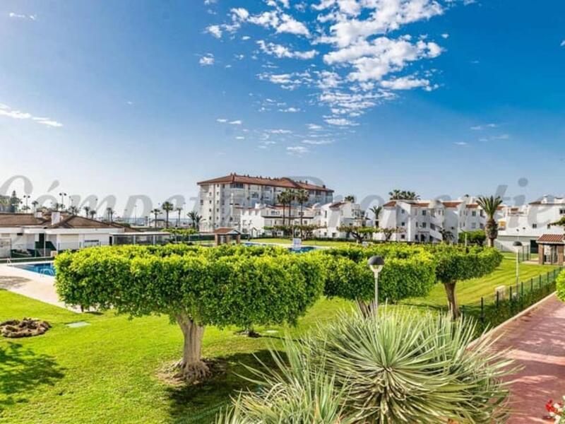1 bedroom Apartment for Long Term Rent