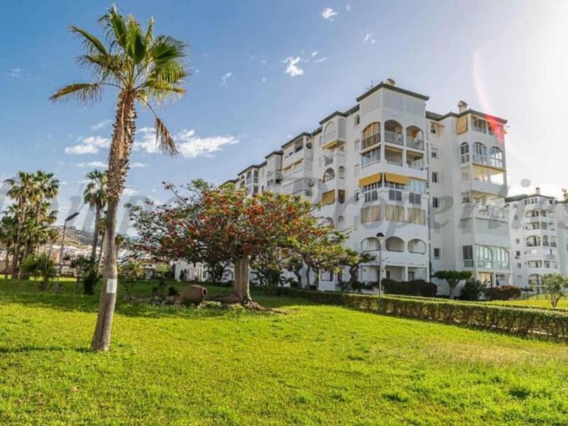 1 bedroom Apartment for Long Term Rent