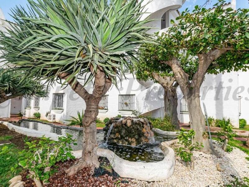 1 bedroom Apartment for Long Term Rent