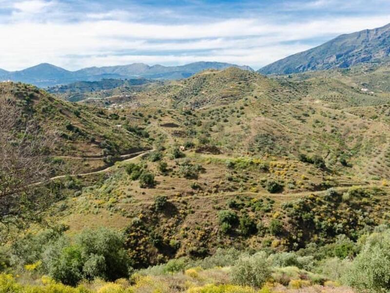 Landa till salu i Sedella, Málaga