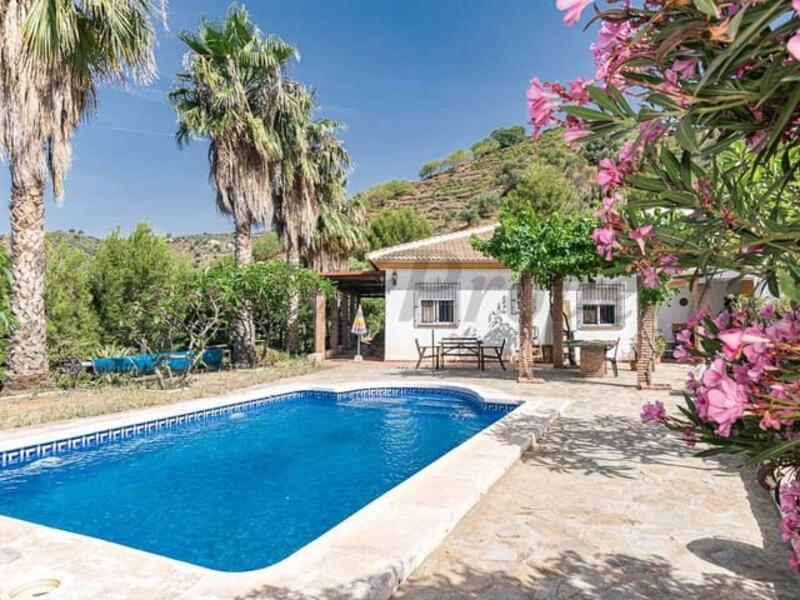 Villa for sale in Sayalonga, Málaga