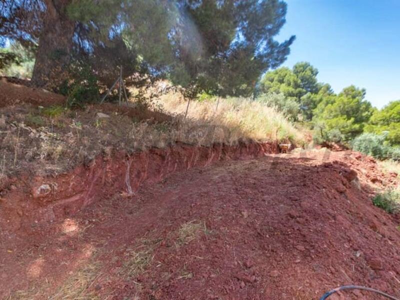 Land for sale Land for sale