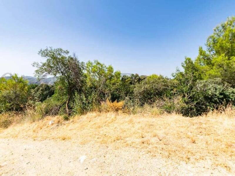Terrenos en venta Terrenos en venta