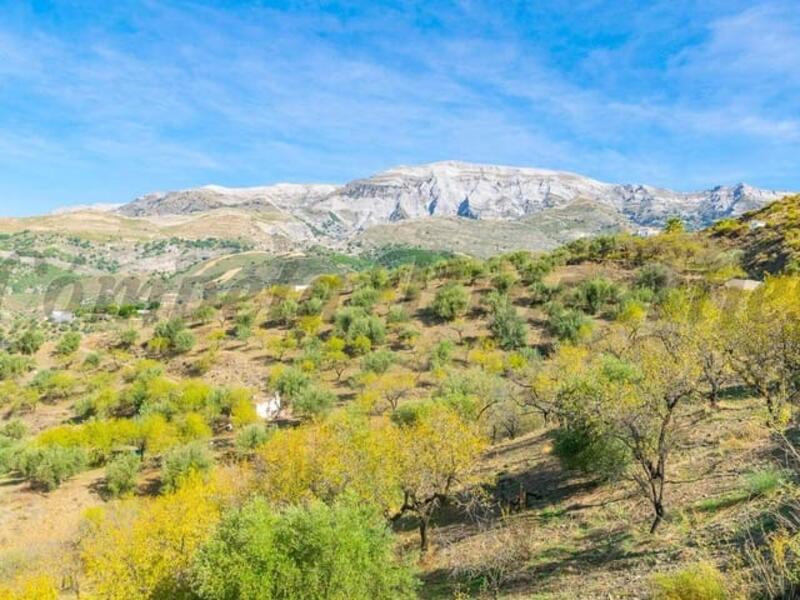 Land for sale Land for sale