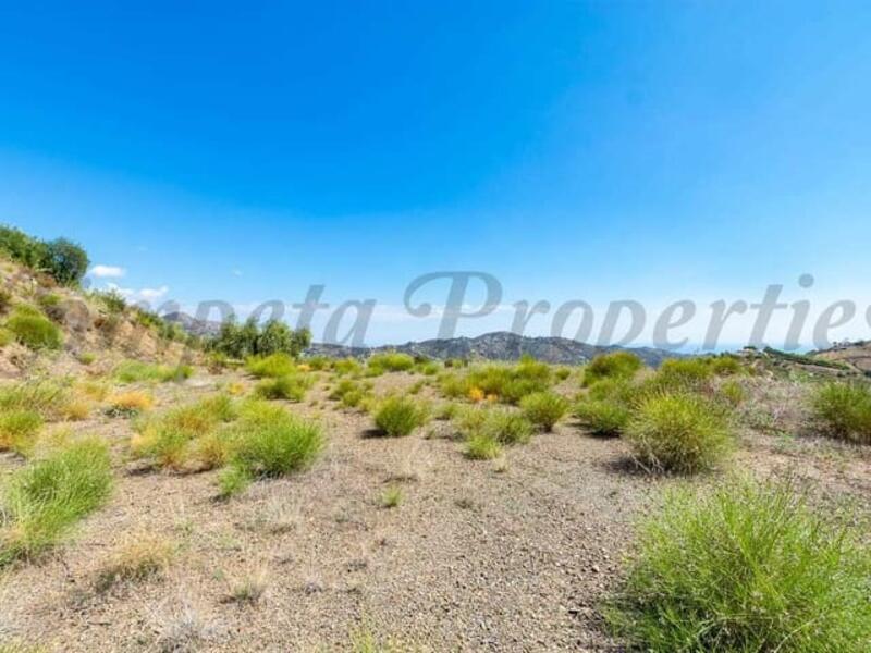 Terrenos en venta en Canillas de Albaida, Málaga Terrenos en venta en Canillas de Albaida, Málaga