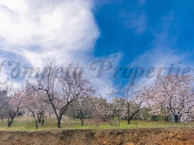Land til salgs Land til salgs