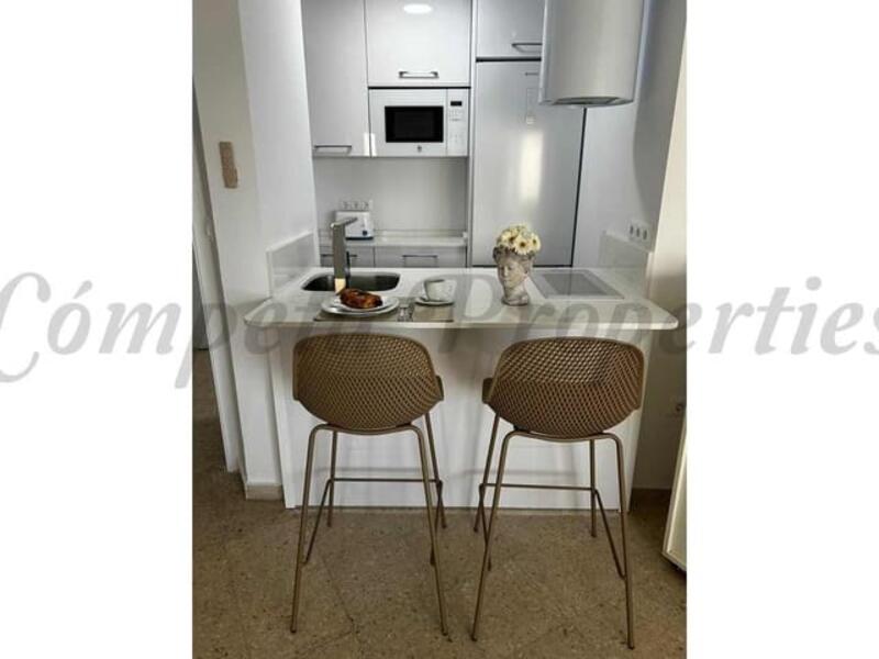 1 chambre Appartement à louer à long terme