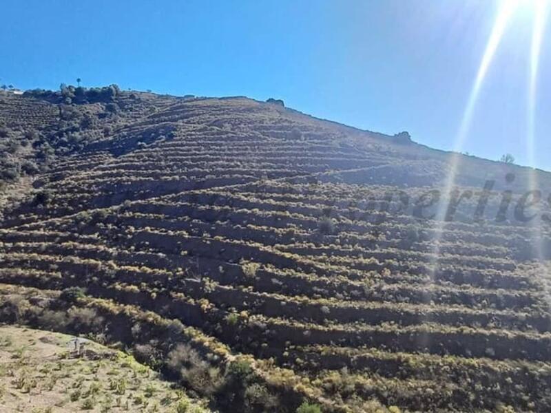 Land for sale in Velez Malaga, Málaga
