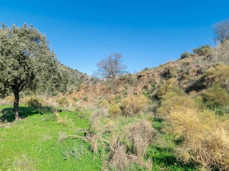 Terrenos en venta