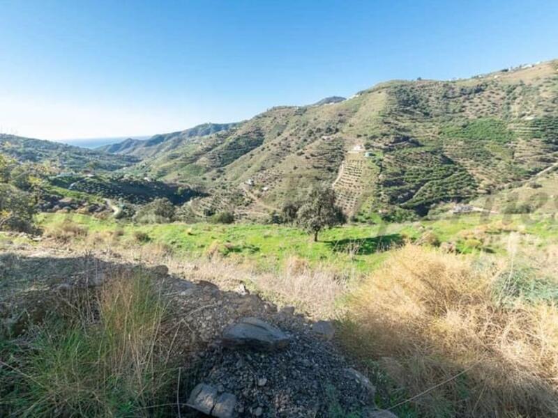 Terrenos en venta