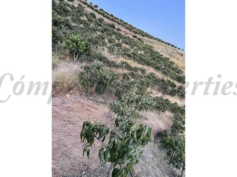Terrenos en venta