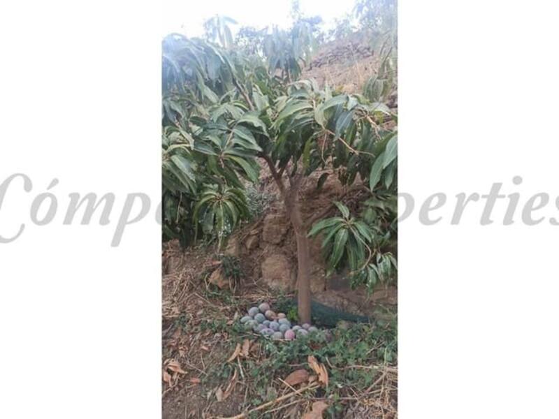 Terrenos en venta