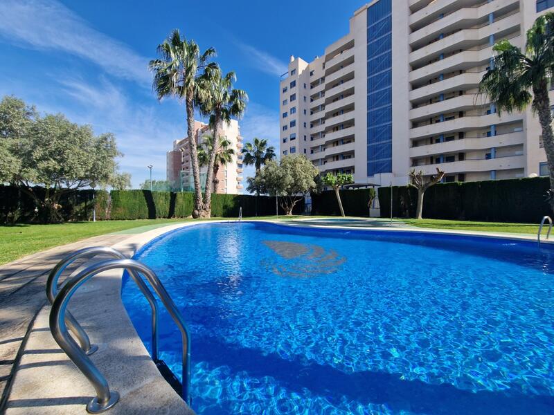 Lejlighed til salg i Guardamar del Segura, Alicante