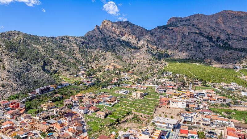 Lantställe till salu i Orihuela, Alicante