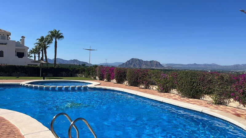 Lejlighed til salg i Algorfa, Alicante