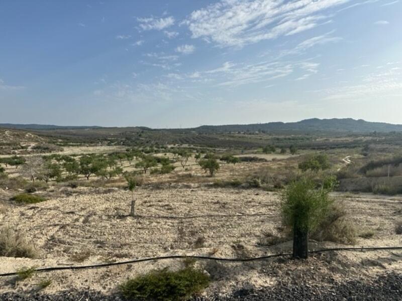 Terrenos en venta