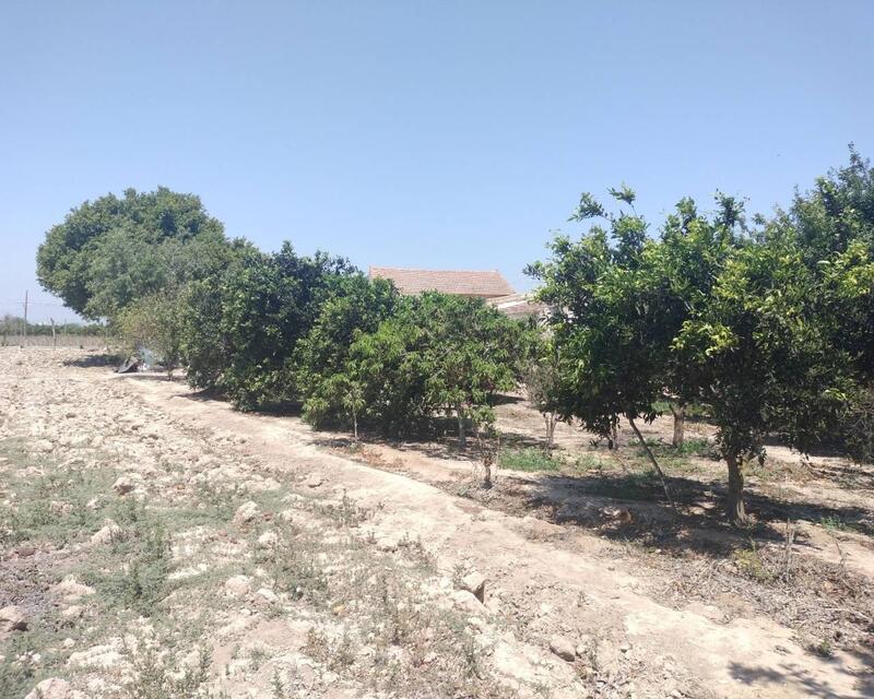 3 bedroom Country House for sale