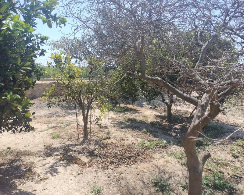 3 bedroom Country House for sale