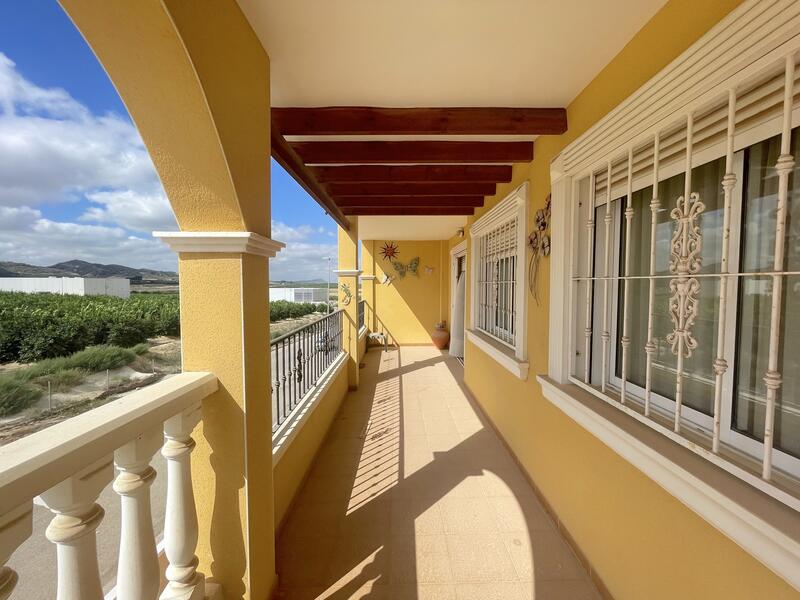 Lägenhet till salu i Algorfa, Alicante Lägenhet till salu i Algorfa, Alicante