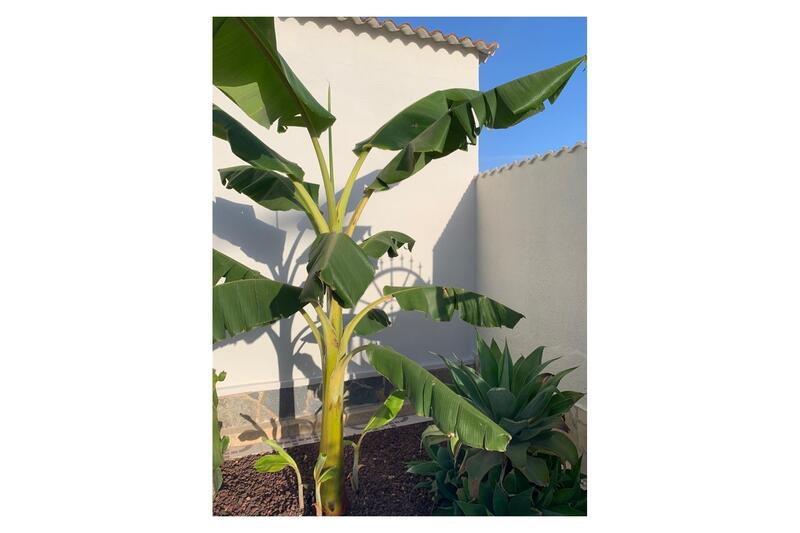 4 Cuarto Villa en venta