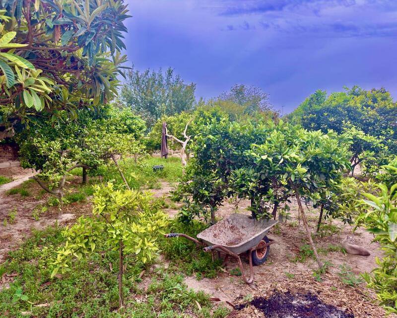 3 bedroom Country House for sale