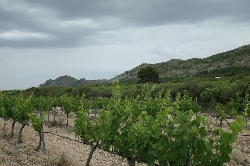 6 bedroom Villa for sale 6 bedroom Villa for sale