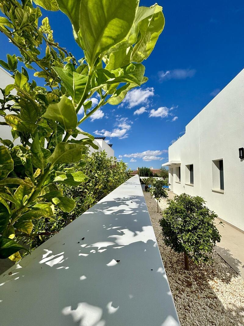 3 Cuarto Villa en venta 3 Cuarto Villa en venta