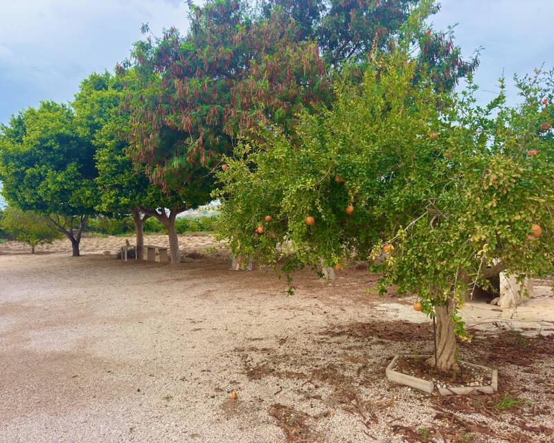 3 спальная комната Деревенский Дом продается 3 спальная комната Деревенский Дом продается