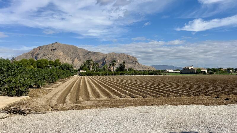 3 Cuarto Villa en venta 3 Cuarto Villa en venta