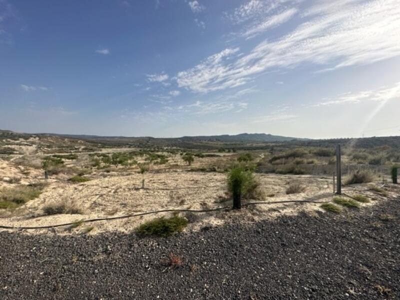 Land for sale in Torremendo, Alicante