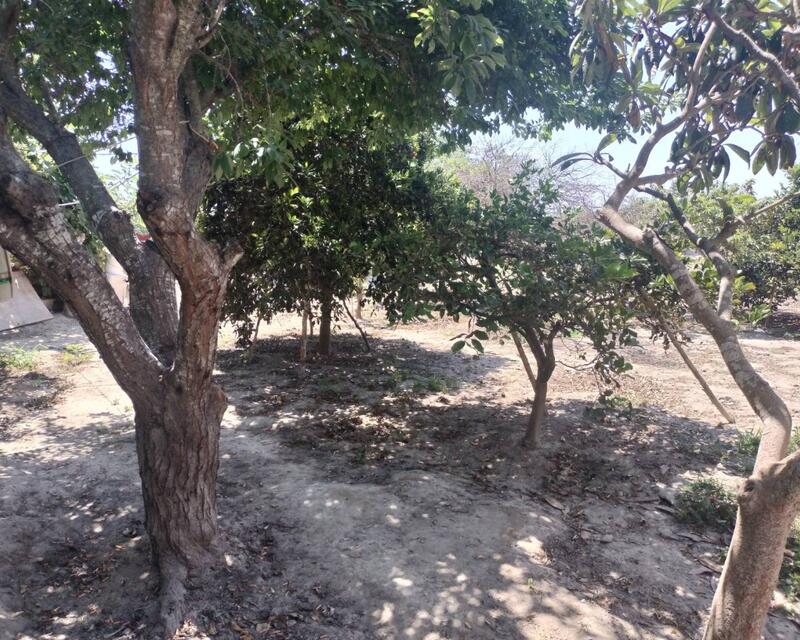 3 bedroom Country House for sale