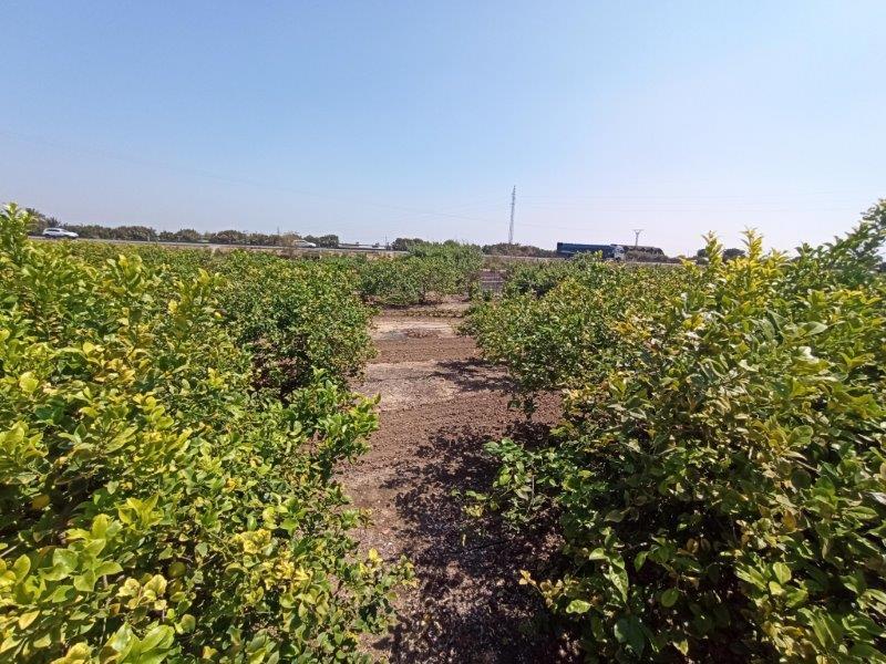 6 bedroom Country House for sale 6 bedroom Country House for sale