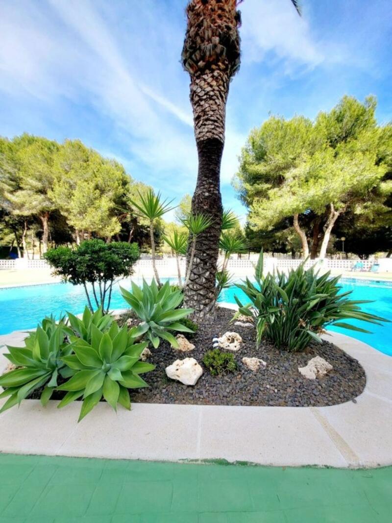 3 bedroom Apartment for sale 3 bedroom Apartment for sale