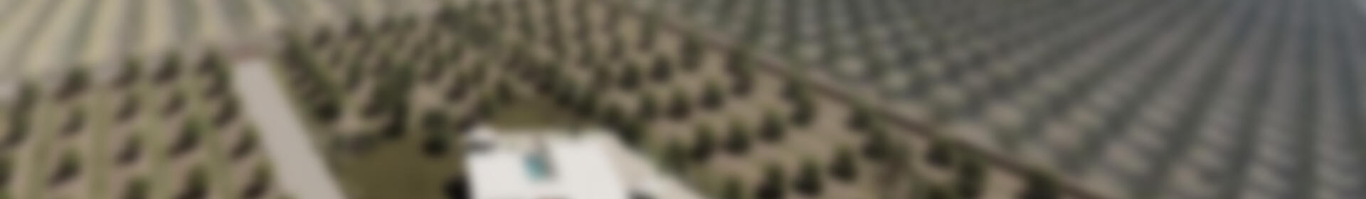 4 sovrum Villa till salu