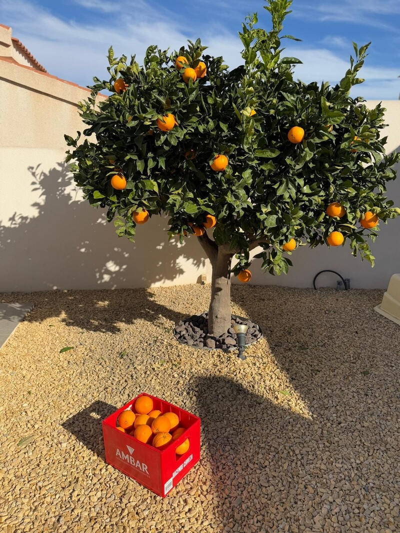 2 Schlafzimmer Villa zu verkaufen