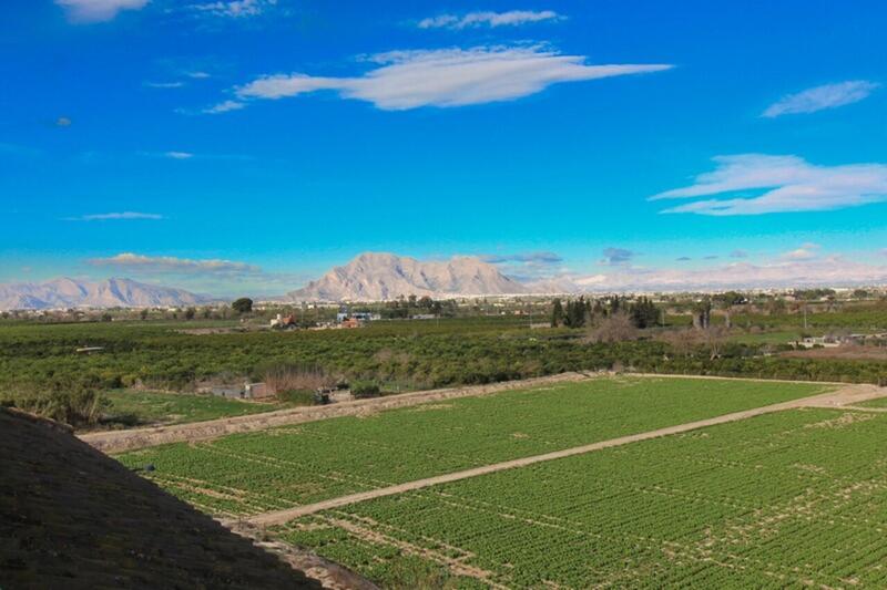 1 Schlafzimmer Appartement zu verkaufen