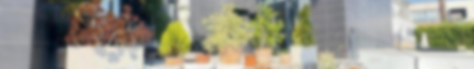 2 soveværelse Villa til salg