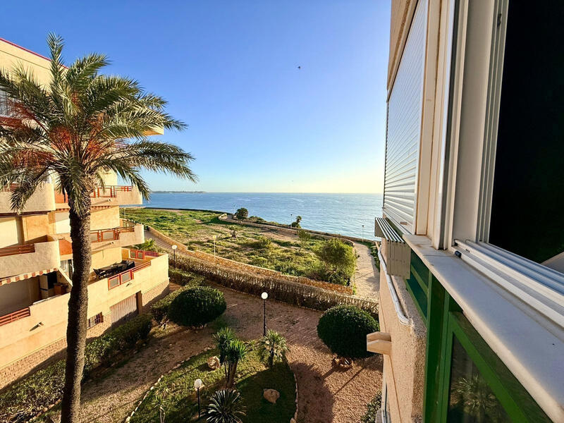 Appartement à vendre dans Mil Palmeras, Alicante