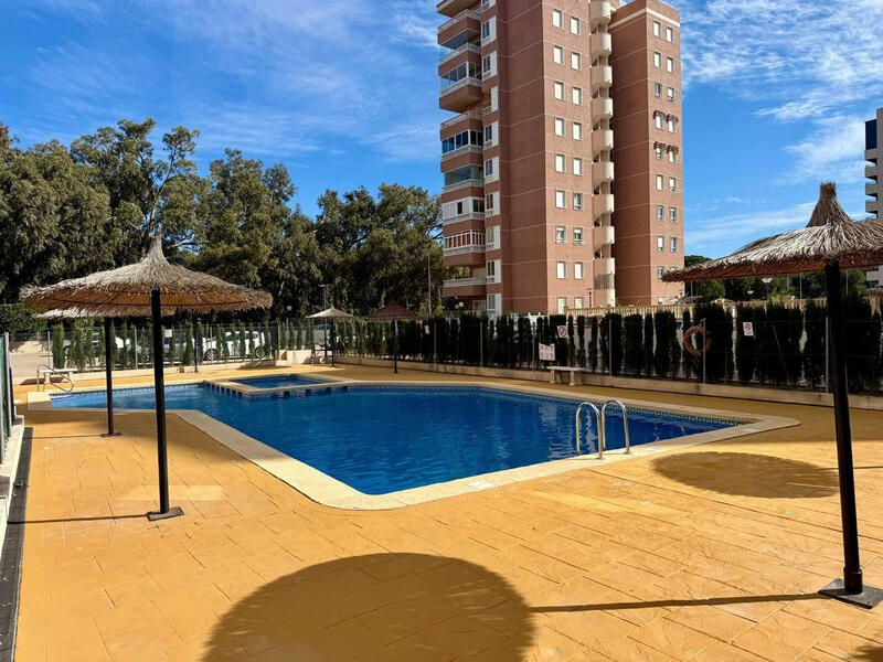 Appartement à vendre dans Guardamar del Segura, Alicante