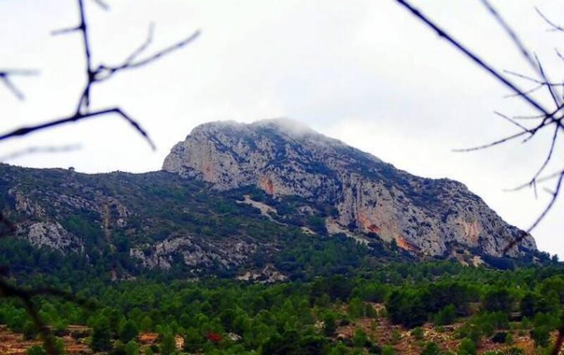 3 slaapkamer Villa Te koop